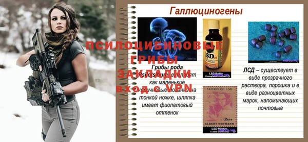 гидра Баксан