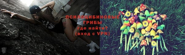 гашик Балабаново