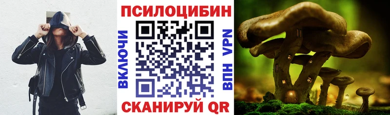 hydra tor  Беломорск  Галлюциногенные грибы Magic Shrooms  сколько стоит 