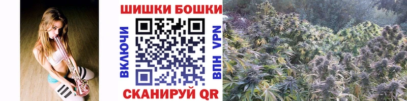 мега зеркало  Беломорск  Бошки Шишки OG Kush 